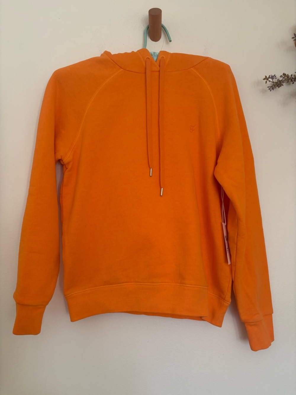 FRAME Faded Persimmon Hoodie NWT Orange Minimalist Luxury Sweatshirt S/P